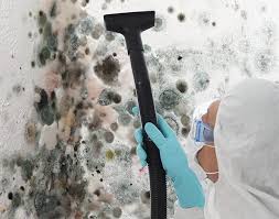 Best Mold Remediation for Vacation Homes  in Nixon, TX